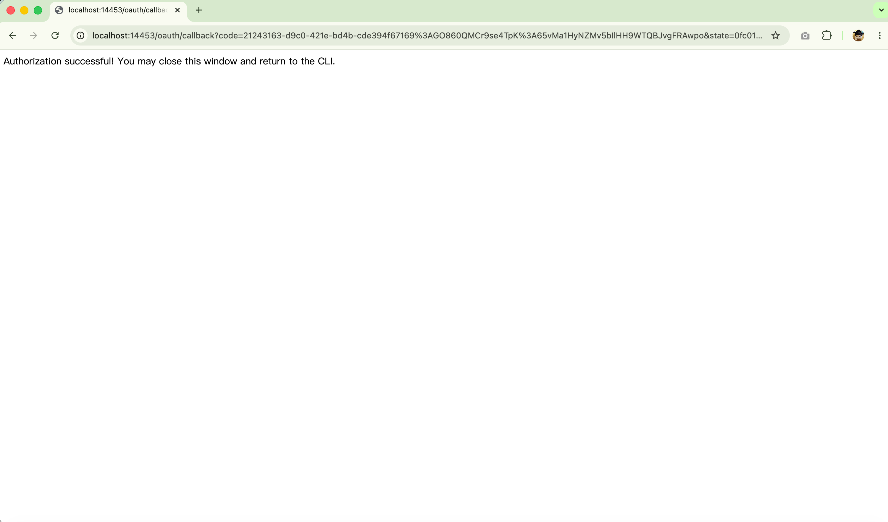 OAuth callback success page showing Authorization successful